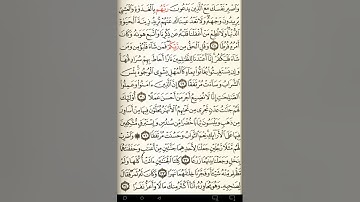 ماهر المعيقلي سورة الكهف مكتوبة صفحة 297 مصحف المدينة المنورة جودة عالية