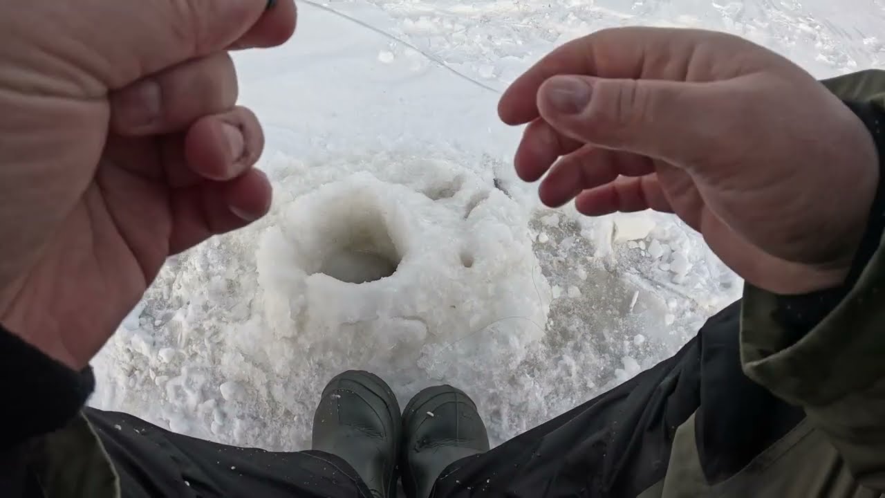 СВИРИЦА! Зимняя рыбалка на окуня. ФЕВРАЛЬ 2026!