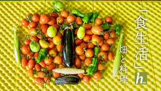 【野菜づくり】畑と料理【野菜収穫】【食生活】