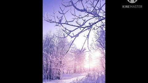 سورة القصص بصوت الشيخ خالد الجليل surat alqasas bisawt alshaykh khalid aljalil