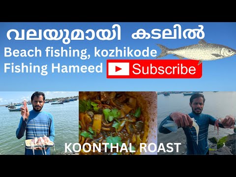 When I went to the sea with a net /Beach Fishing Kozhikode #keralafishing #Koonthal Fish #fishing...