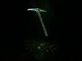 🌿💎 The Legend of the Emerald Power  #gaming #oxidesurvivalisland