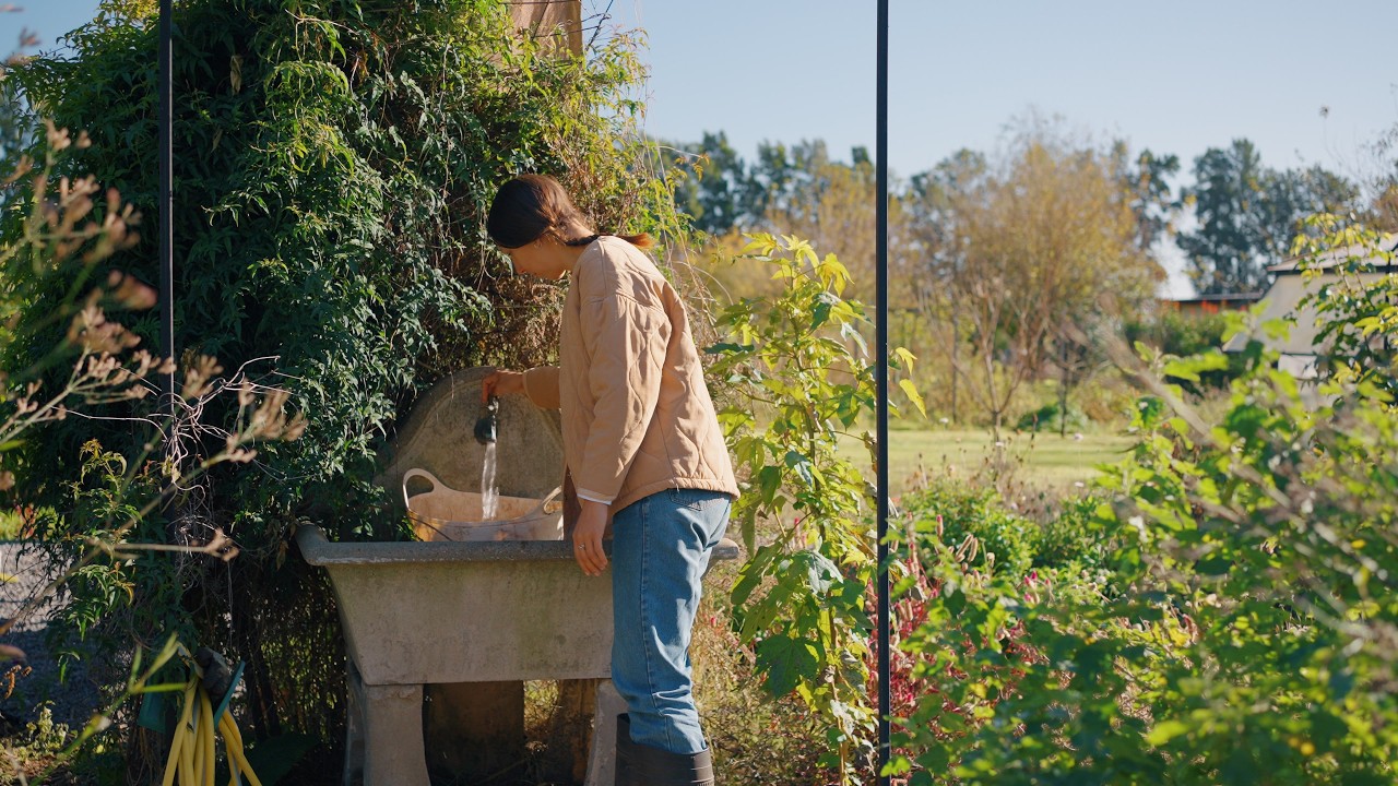 VIDA DE CAMPO | tintes naturales, cosecha y cocina de TOPINAMBUR, preparando el jardín de invierno