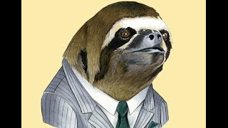 Trying to make a new sloth outfit.