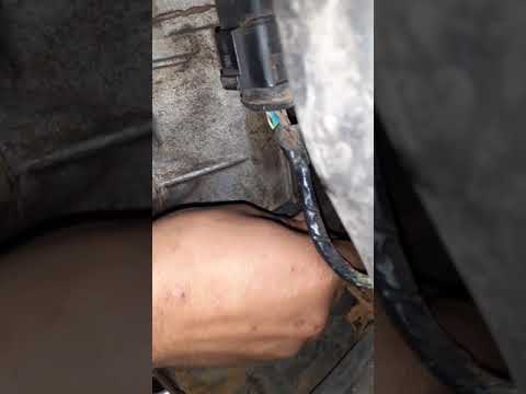 مراقبة علبة سرعات إيبيزه لبوات Ibiza 