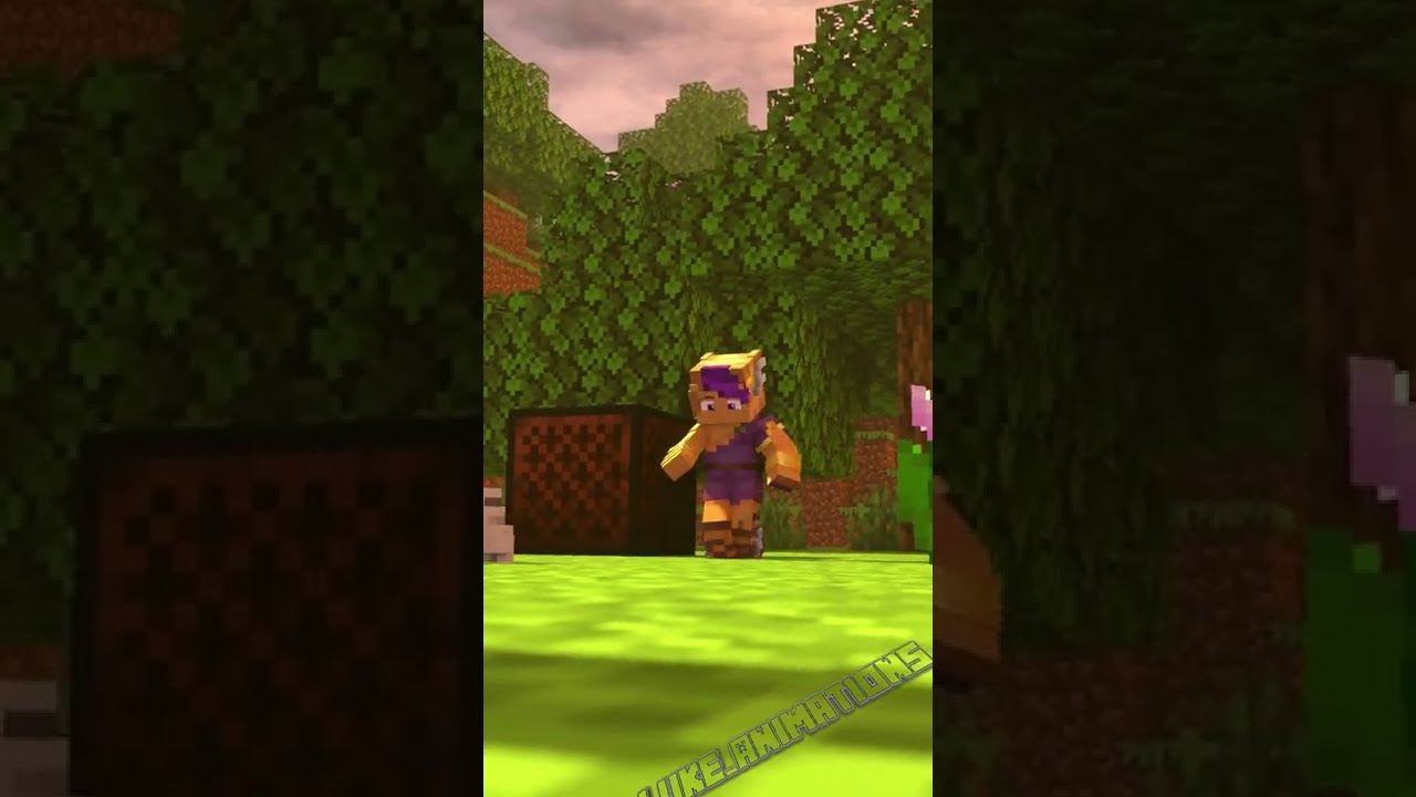 preview_player