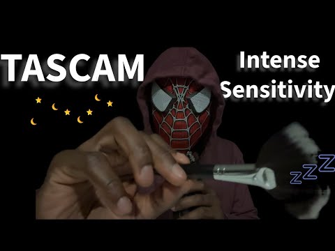 Expert ASMR Mouth Sounds While Brushing You To Sleep (TASCAM)