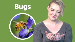 Bugs | Bedtime Stories | Story time | Made by Red Cat Reading