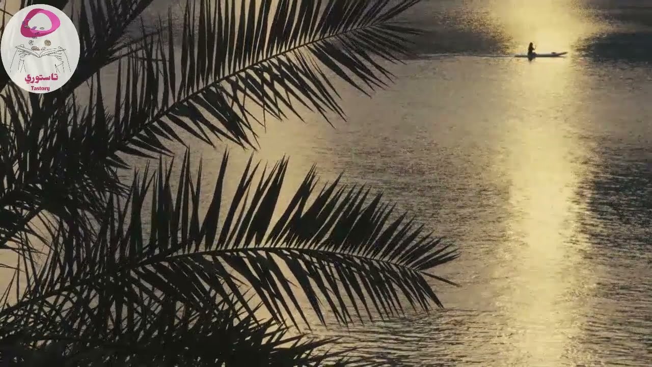 مجموعة من غرائب القصص الحقيقية #تاستوري