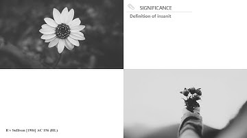 [Case Law Criminal] [