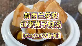 新西兰鱼胶红枣莲子炖汤—【Maybel话你知】New Zealand fish maw stew red dates soup