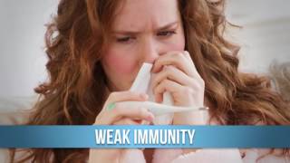 7 Signs You Should Be Taking Probiotics – Saturday Strategy