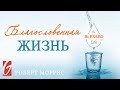 Благословенная Жизнь #5 "Щедрый ли я человек?"