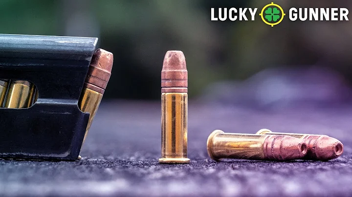 Why a .22 LR Pocket Gun Should Not Be Underestimated [2025 Update]