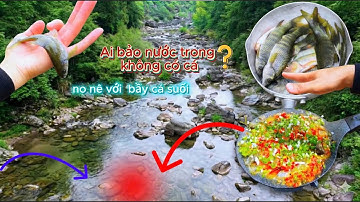 Đi sâu vào con SUỐI câu được bầy cá & bữa ăn no nê thịnh soạn