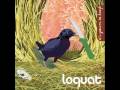 Loquat - Need Air
