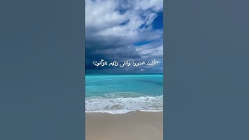 الذين صبروا وعلى رَبِّهِمْ يَتَوَكَّلُونَ : سوره العنكبوت