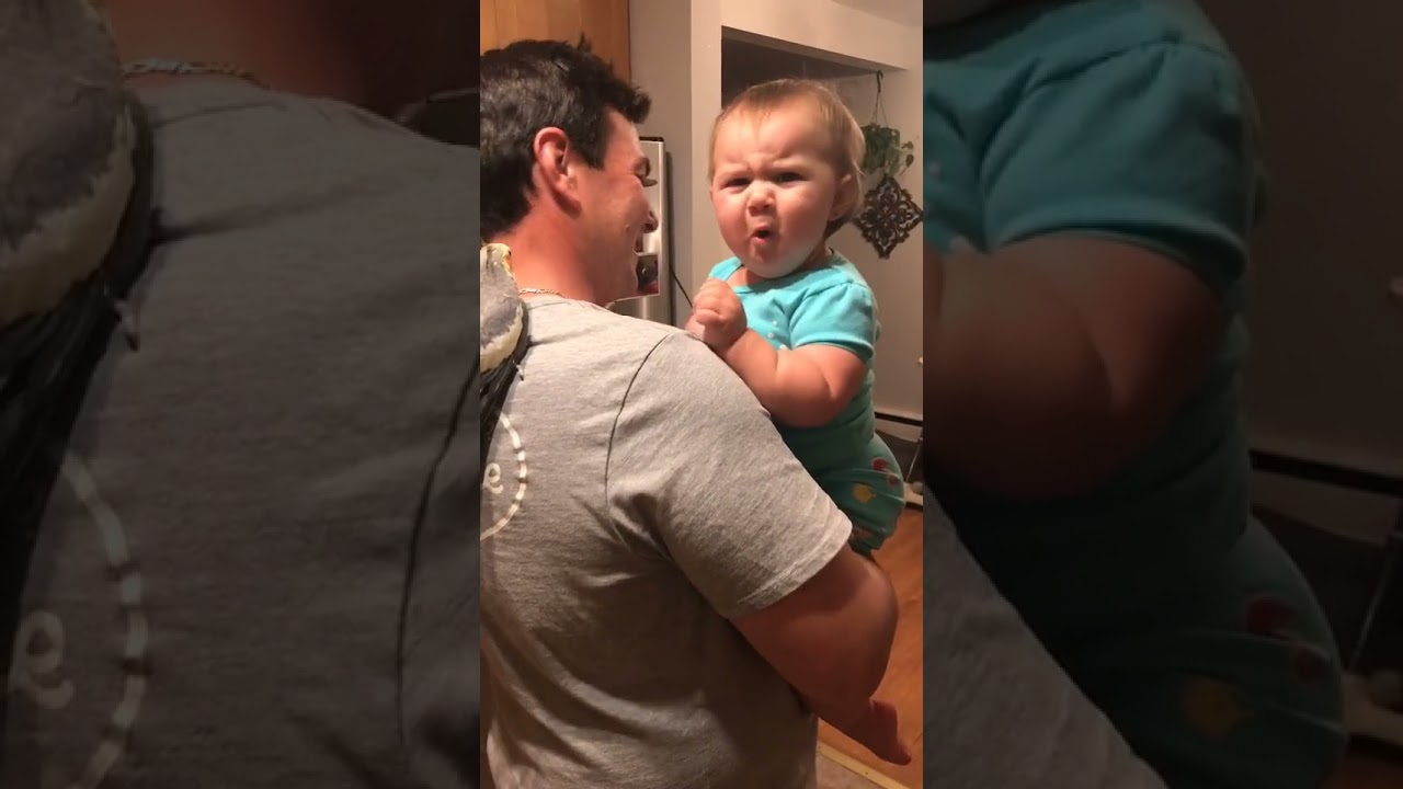 Toddler Plays With Cockatiel Sitting on Dad's Shoulder