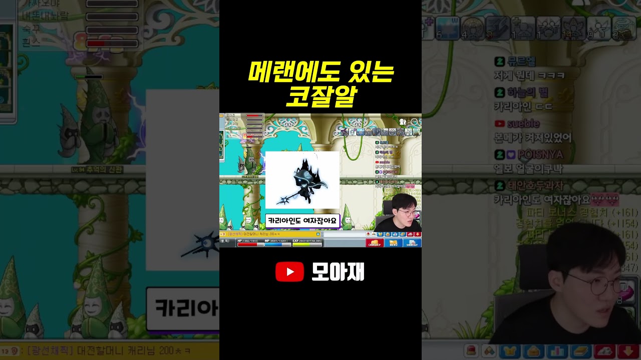 메랜에도 있는 코잘알