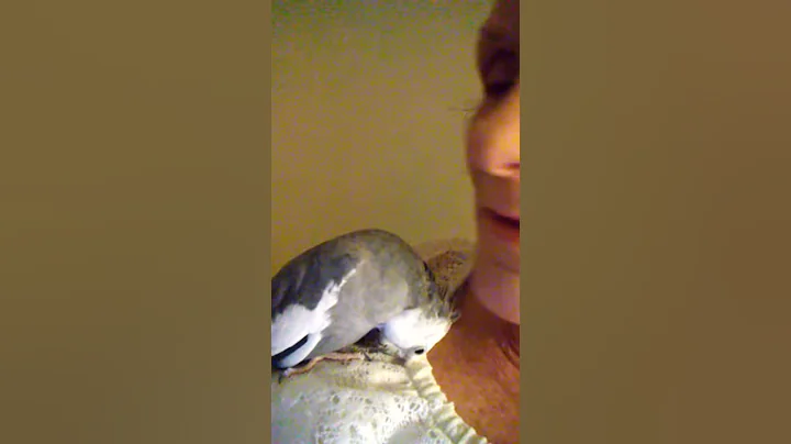 Pretty Bird!!
