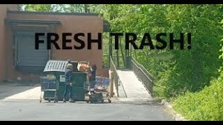 THIS HAS GOT TO BE THE FRESHEST TRASH WE HAVE EVER FOUND!  DUMPSTER DIVING AT ALDI