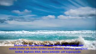 FATIR-(FÂTIR)-SURESİ-Ebubekir Şatiri (Abu Bakr Al Shatri)