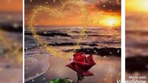 #حالات واتس آب#الشيخ مشاري بن راشد العفاسي سورة الفيل 🐘🐘🐘