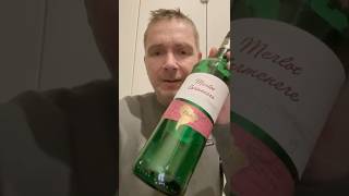 Wein aus Chile? #shorts #shortvideo #raboos