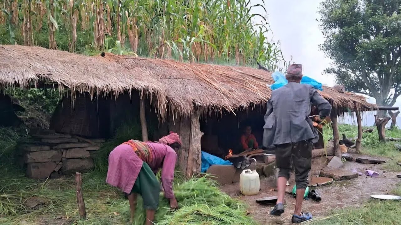 Nepali Rural Community Beautiful And Relaxing Nepali Rural Village Life Of Nepal | Daily ...