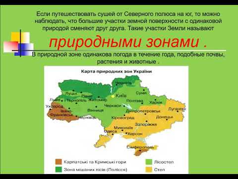 Озош N8Урок Природоведения 4 Класс Смешанные Леса.Растительный И Животный Мир Зоны Смешанных Лесов.