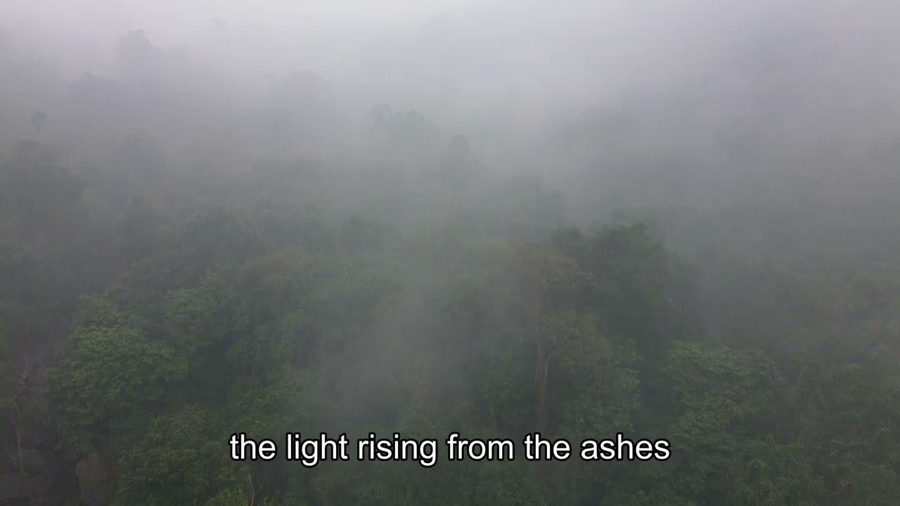 Resurrection of life