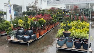 Обзор садового центра в Германии 🌟Цветущие уже❗️однолетние и многолетние растения 🌟Blumengarten