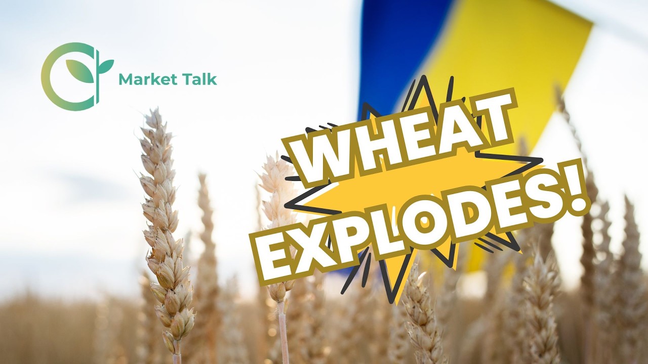 War and Weather: The Factors Driving Commodities This Week