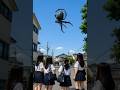 日本で撮影された信じられないUFO #隠れ鬼 #恐怖 #おばけ #怪現象 #ミステリーハンター #ghost #paranormal #怖い話 #horror