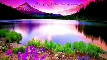 سورة ص بصوت الشيخ بشير الطائي