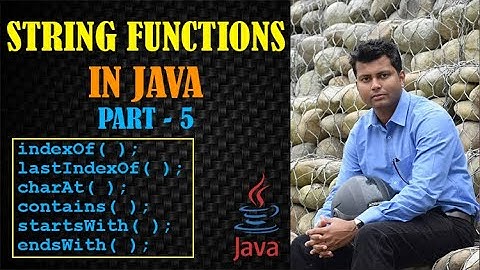 indexOf(), lastIndexOf(), charAt(), contains(), startsWith(), endsWith() Methods In Java in Hindi