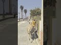 #gta 5 runawy deer on a ramge