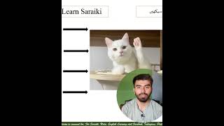 Cat name in Saraiki | Saraiki Learning Course | Saraiki learning