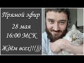 Учимся одеваться у природы. Гармония и принципы в конструировании одежды: пропорции, форма, цвет.