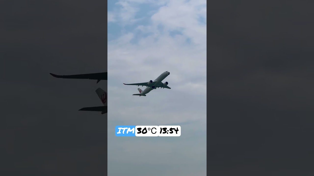 Airbus A350 JAL Summer Takeoff Osaka International Airport #airbusa350 #takeoff #jal