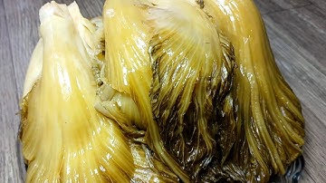 Cách Làm DƯA CẢI MUỐI CHUA nhanh ăn giòn ngon không bị nhớt màu vàng đẹp tự nhiên