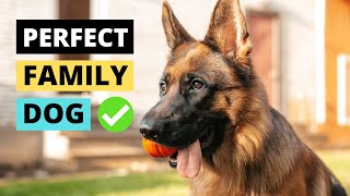 Are German Shepherds Good Family Dogs?