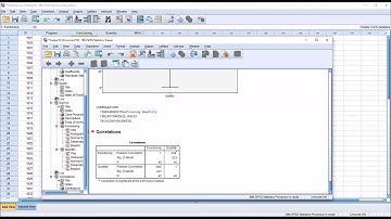 Conducting a MANOVA in SPSS with Assumption Testing