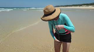 How to catch a Sandworm - Rainbow Beach - Happy distraction during self-quarantine 