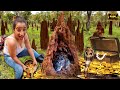 I FOUND A $10000000 MYSTERIOUS TREASURE IN FOREST | Treasure Hunt Videos | UNDERWORLD