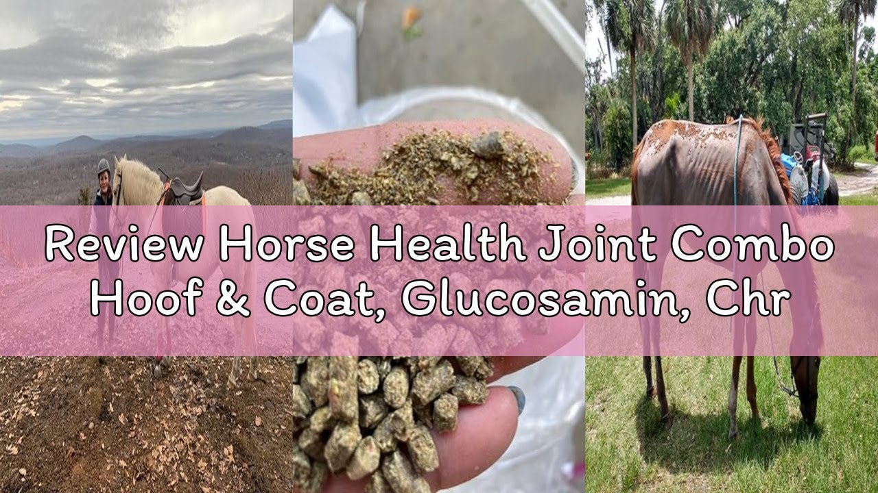 Review Horse Health Joint Combo Hoof & Coat, Glucosamin, Chrondroitin, Vitamin C, MSM, Biotin, Lysin