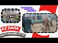 ARTIK BÖYLE FİYATLAR OLMAYACAK Erzurum hayvan pazarı