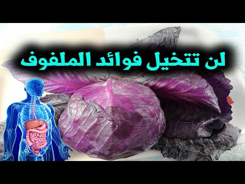 ماذا يحدث لو اكلت الملفوف البنفسجى اسبوعيا لن تصدق