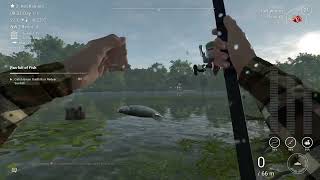 Fishing Planet Adventure Mission Pan Full Of Fish In Lone Star Guide