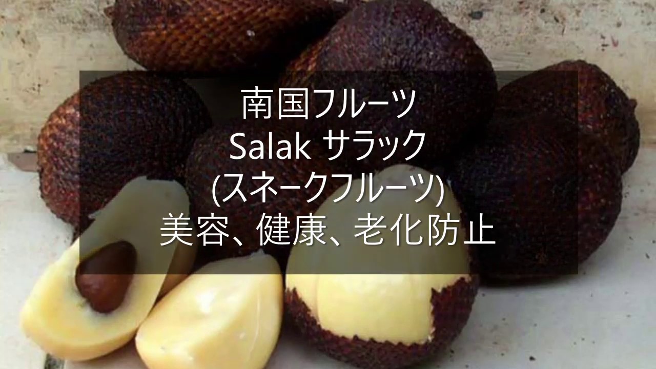 老化防止 便秘解消 南国フルーツのサラック Salak インドネシア原産フルーツ Youtube